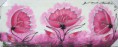 Flores rosas
